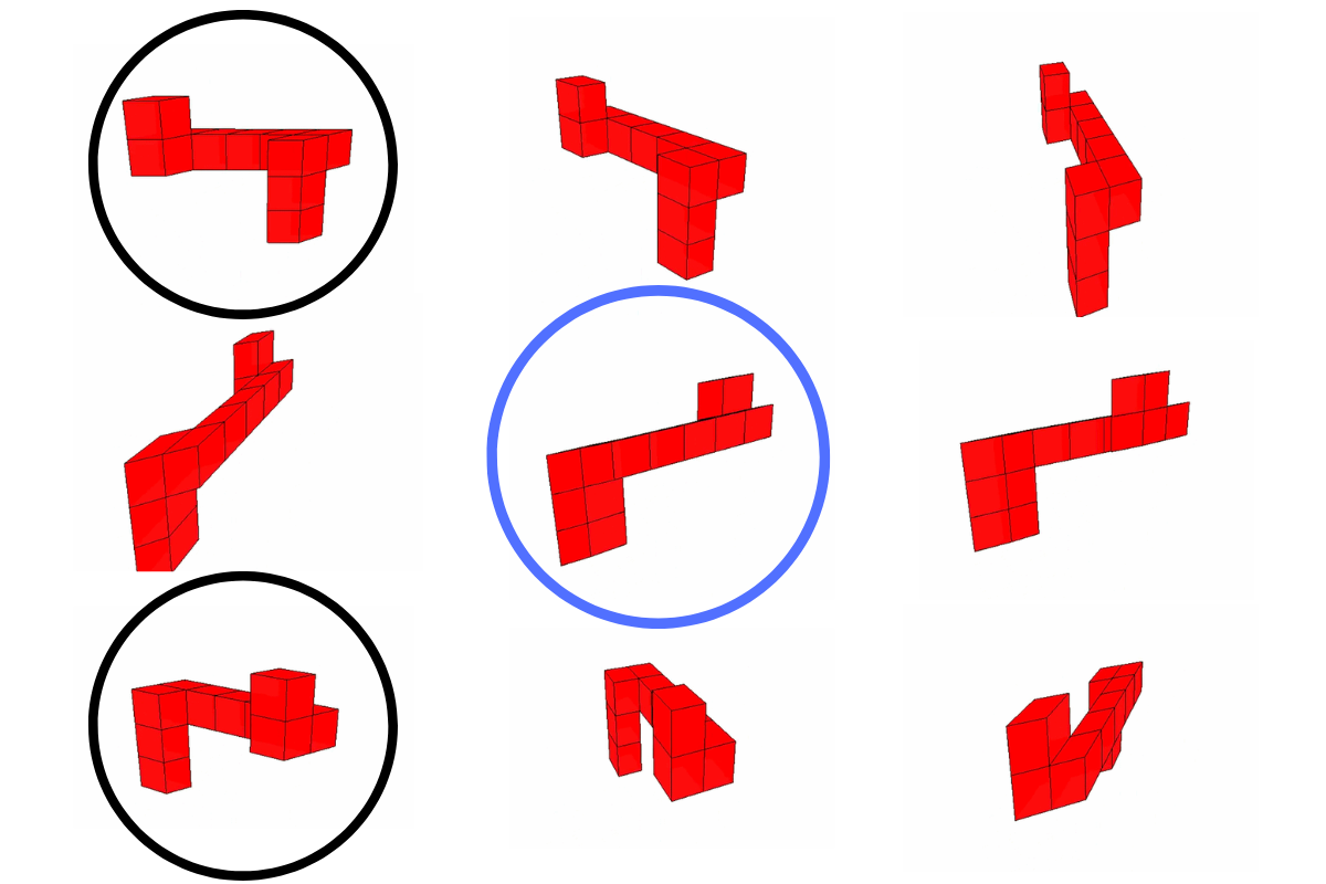 4-Dimensional Objects as a Tool to Study Symmetry Learning in Humans ...